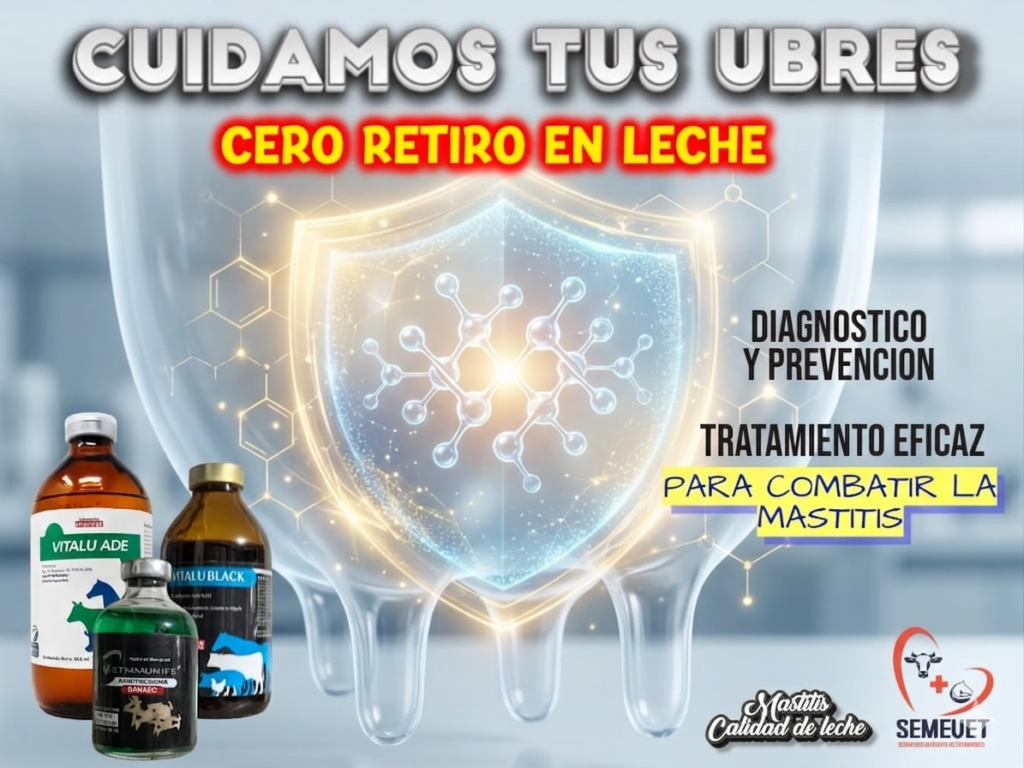Prevención y Cuidado Prevención y Cuidado