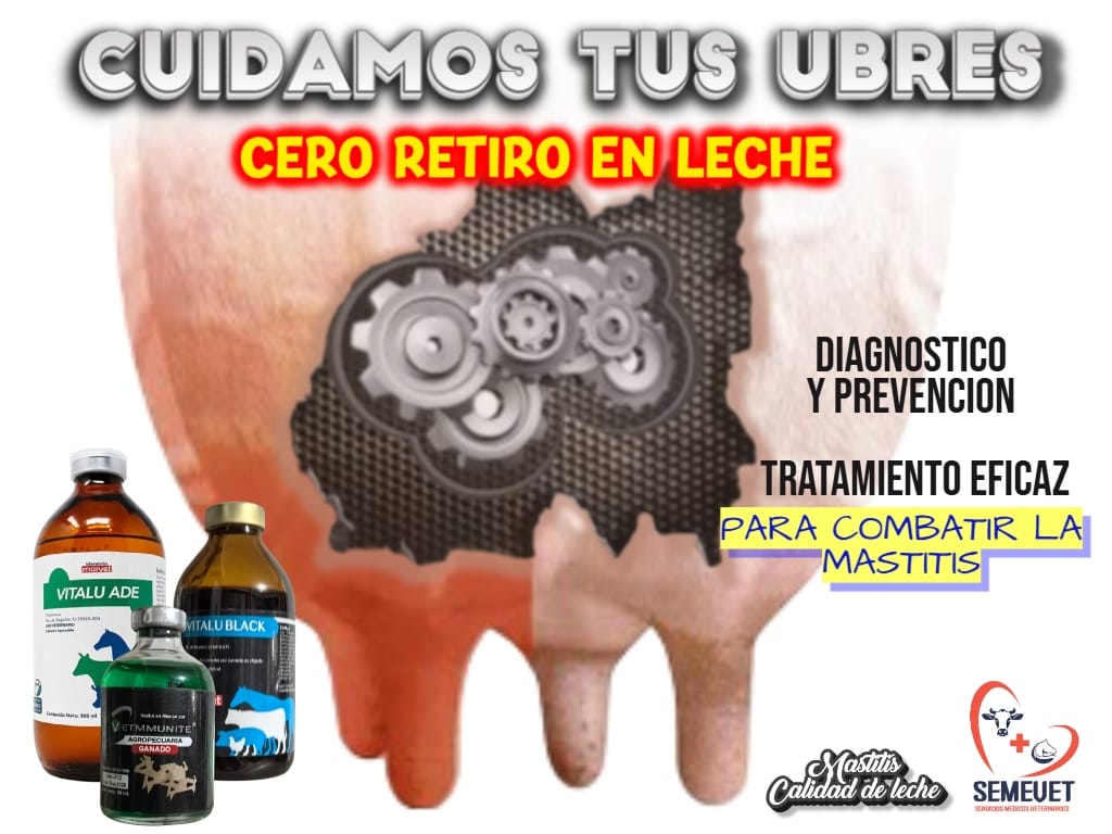 Cuidado de ubres, de ganado