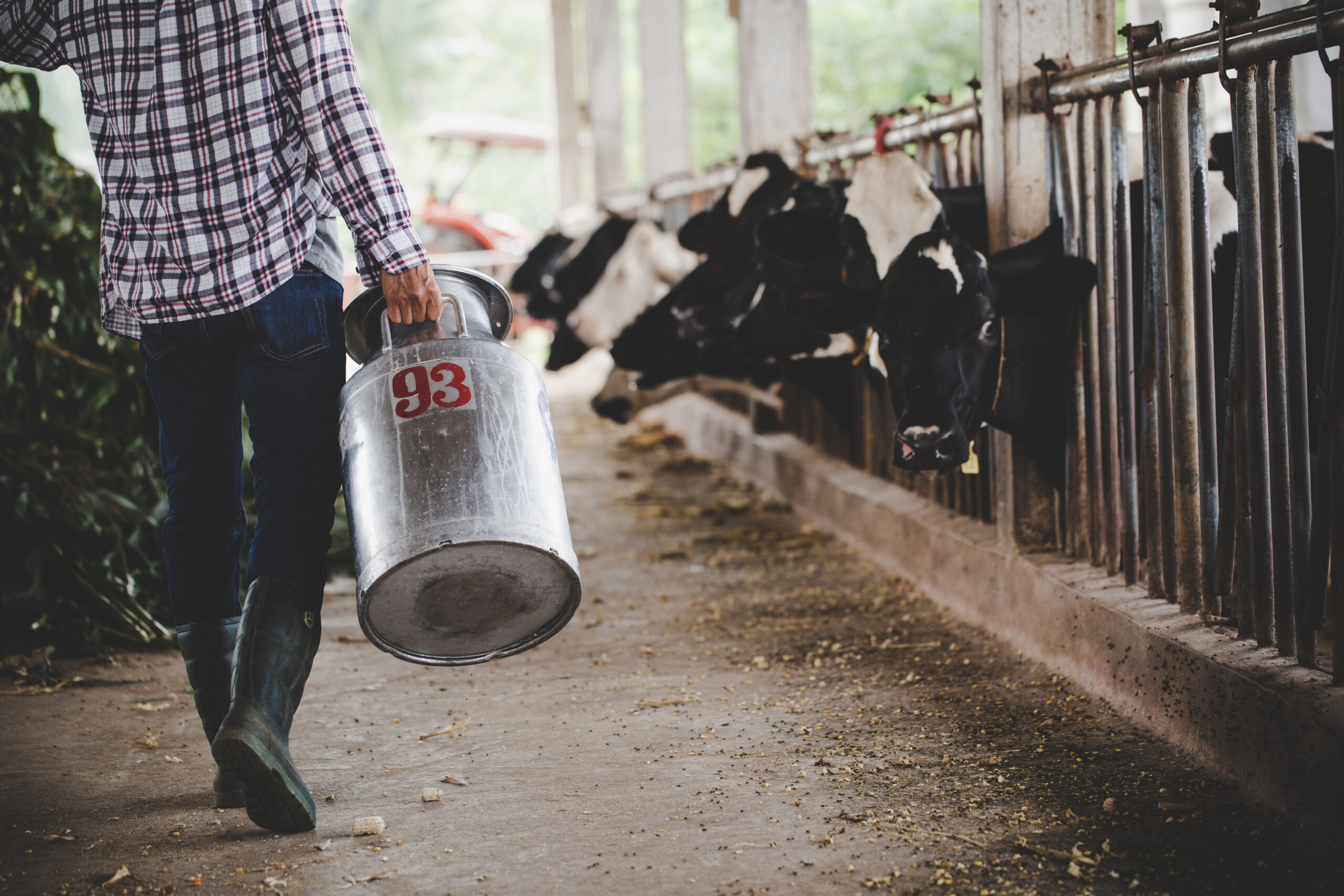 Servicios: Control de Mastitis