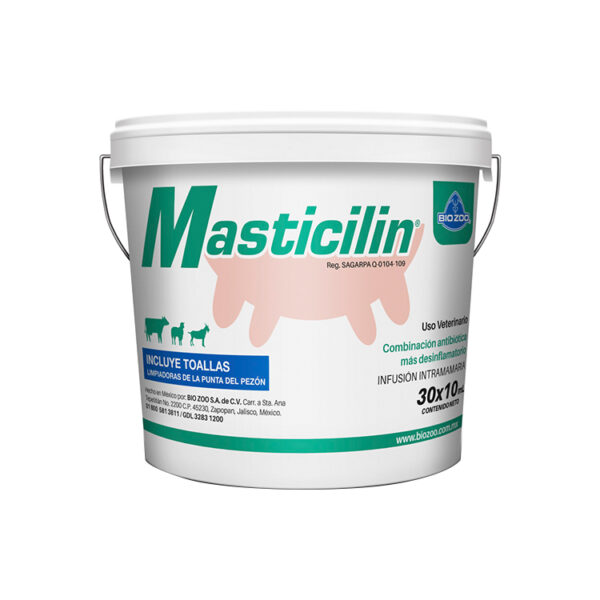 Masticilin 30X10 Ml