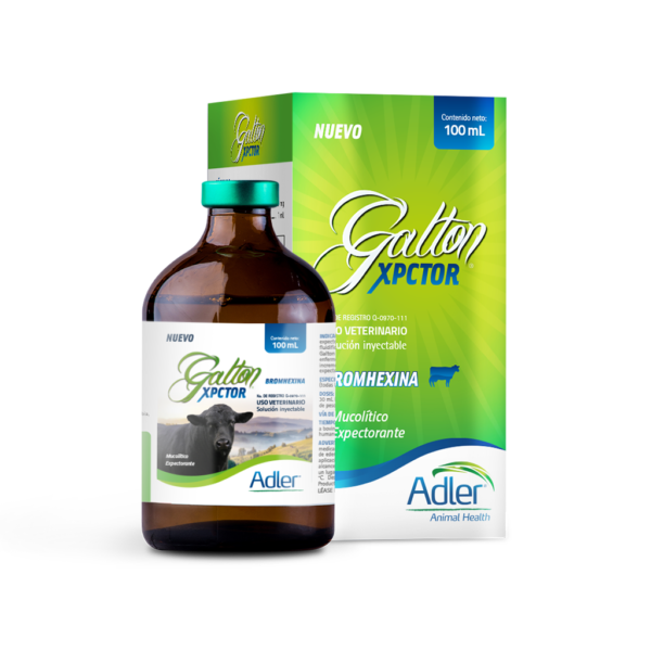 Galton Xpctor 100 ML Bromhexina